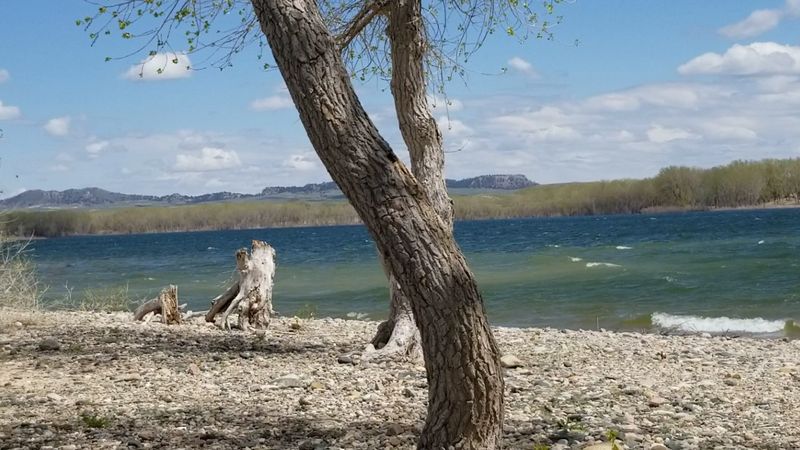 Seasons, Weather, and Wind Wisdom