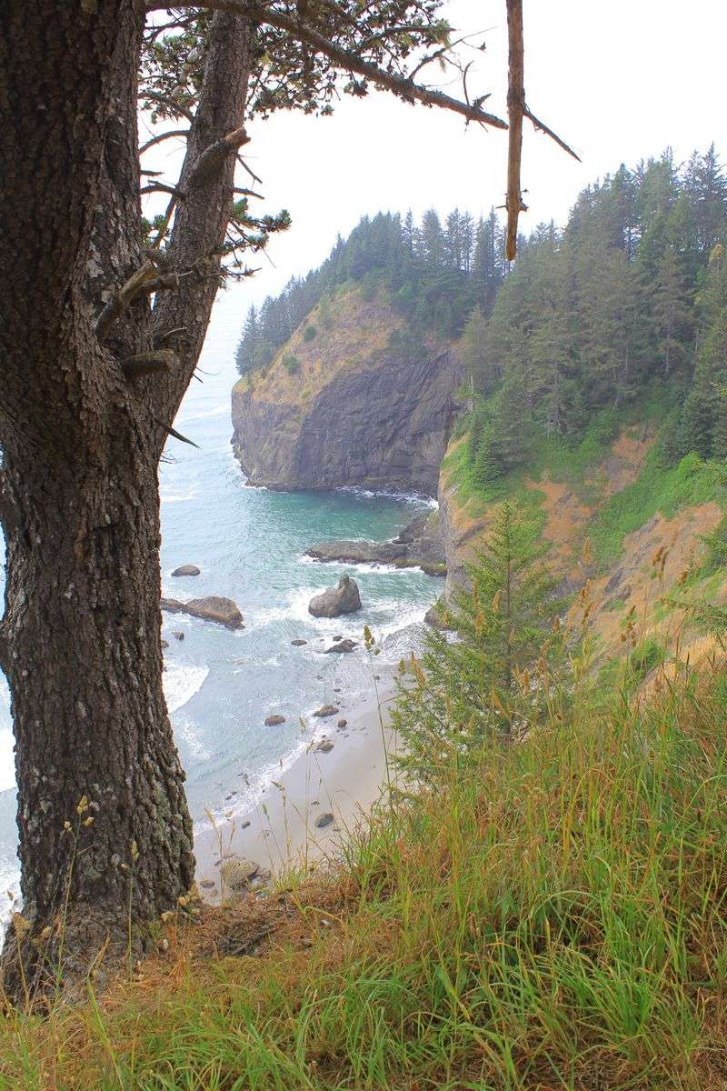 Forest Atmosphere and Coastal Climate