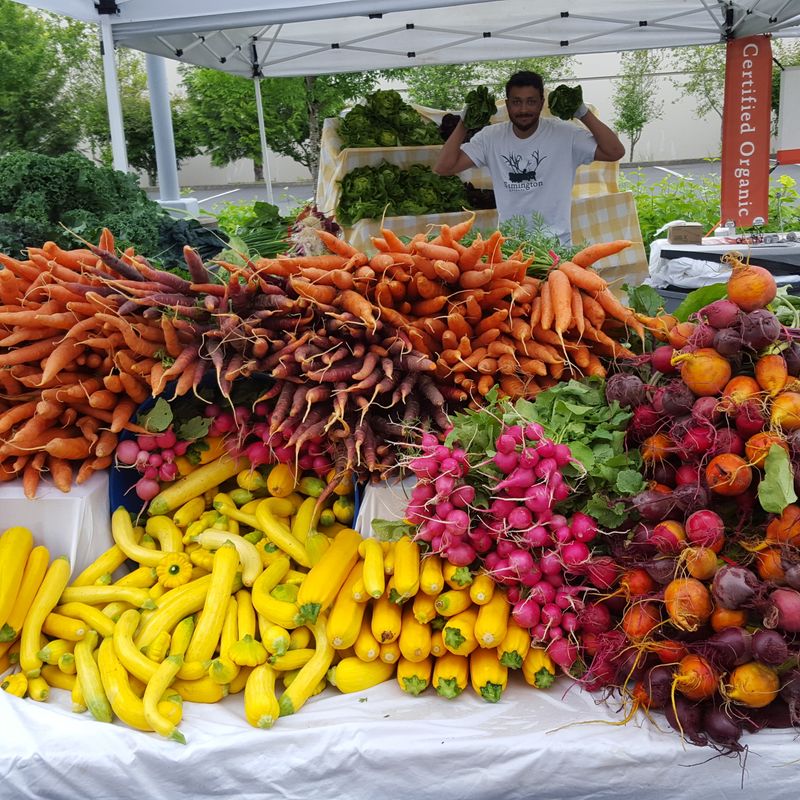 Year-Round Farmers Market: A Community Gem
