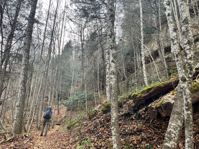 Frosted Backroads of Berea