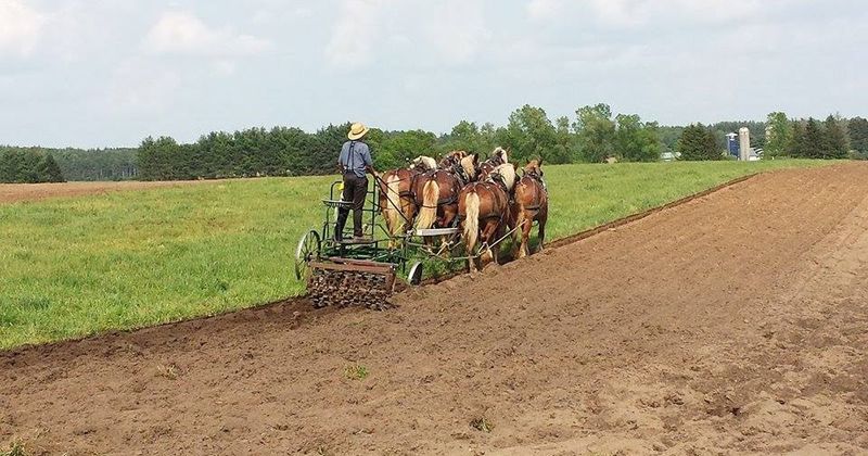 No-Till, Sustainable Methods