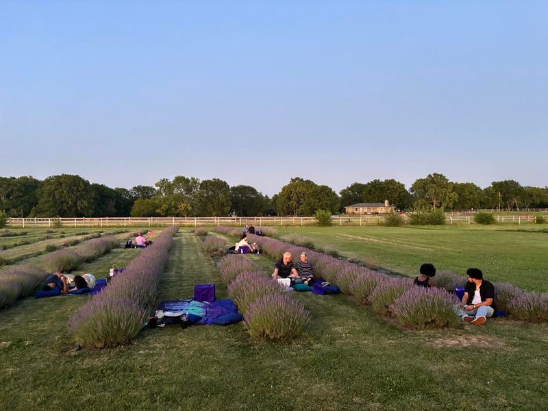 The Tension Between Authenticity and Attraction