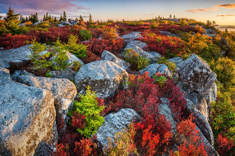 Dolly Sods Wilderness
