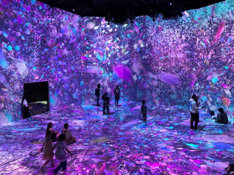 Immersion in the Arts