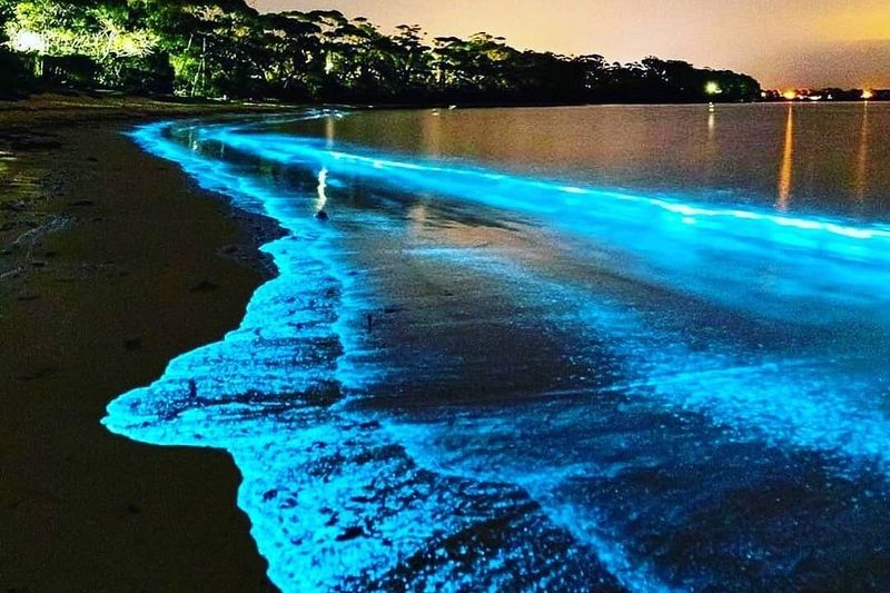 Florida Adventurer – Bioluminescent Kayaking