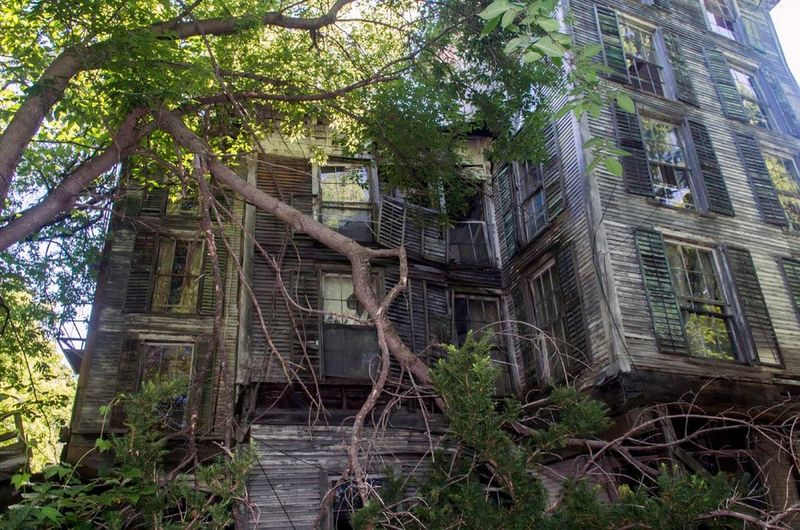 Whispers in the Hallways