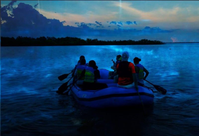 BK Adventure – Bioluminescence Kayaking Tour