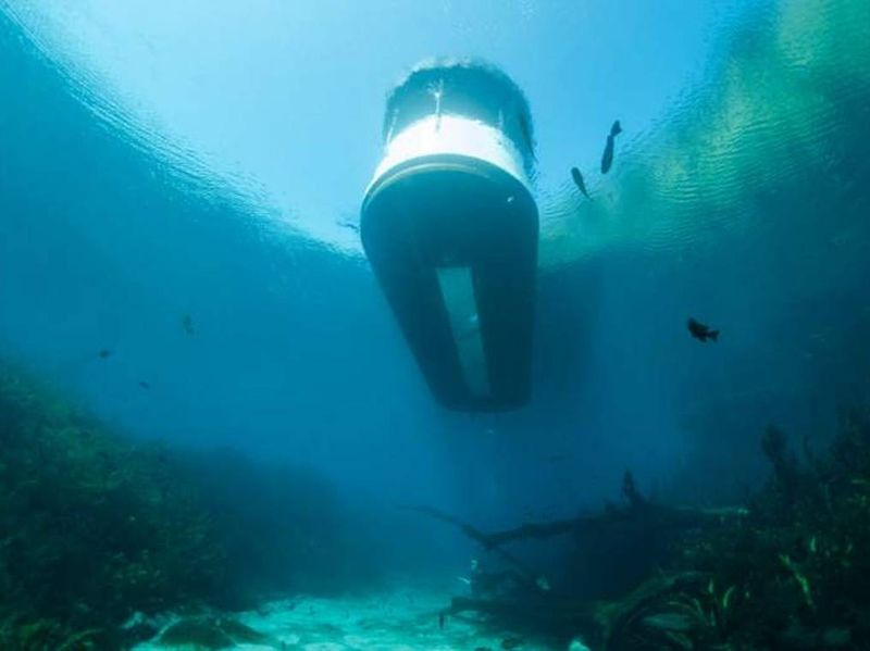 The Crystal-Clear Water's Unsettling View