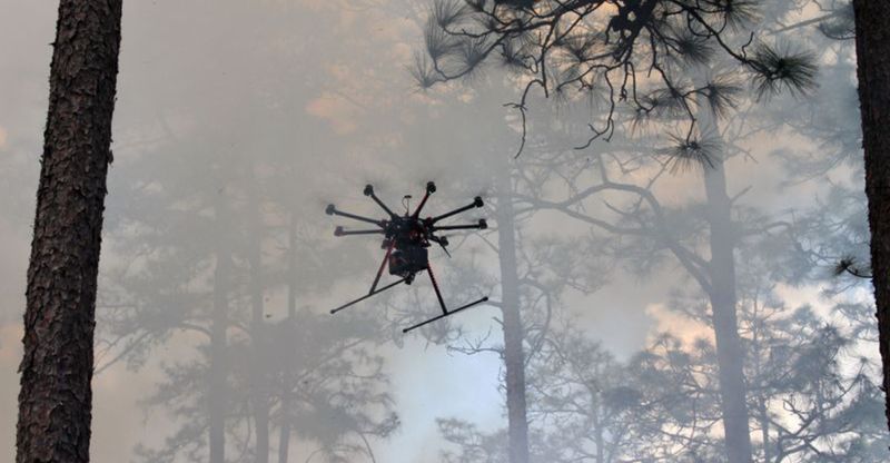 The Consequences of a Viral Shot