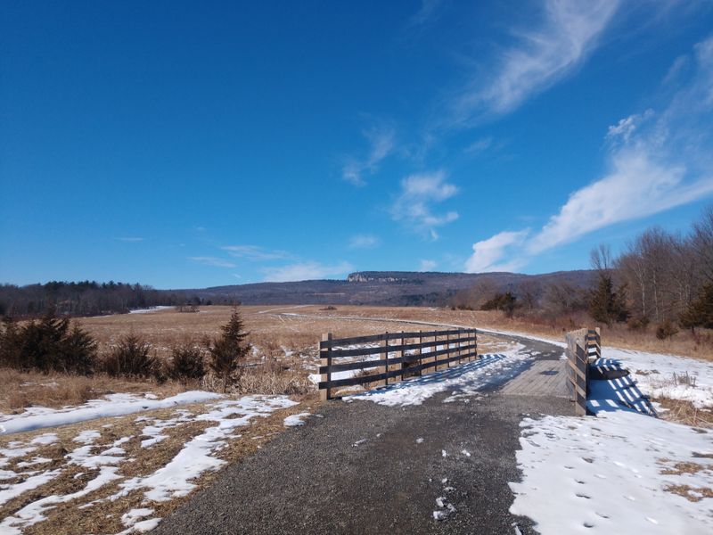 Uninterrupted Winter Silence