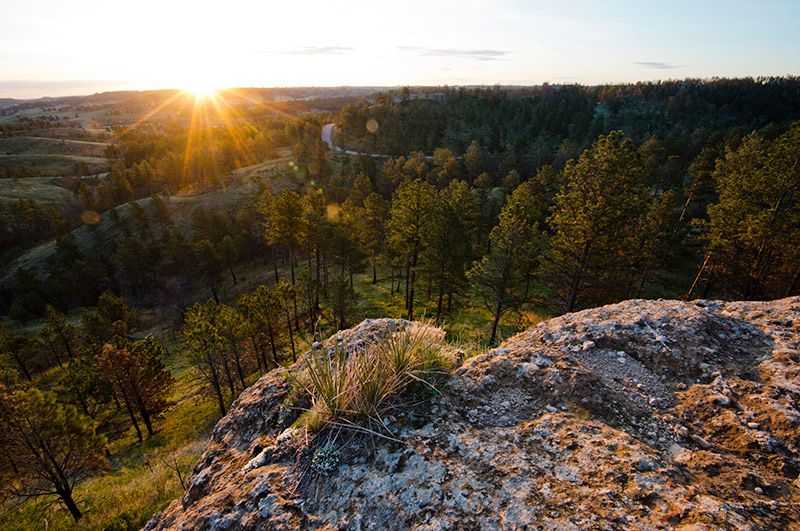 Nearby State Parks That Shape the Local Identity