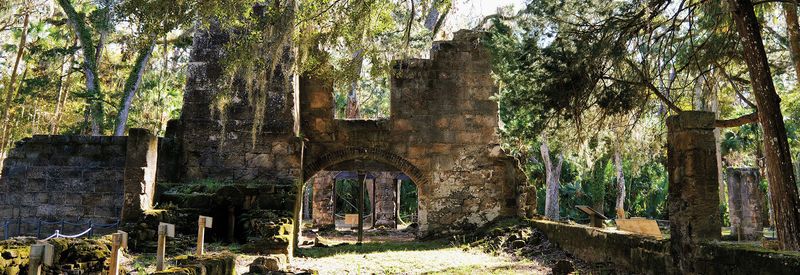 Bulow Plantation Ruins Historic State Park (Flagler Beach)
