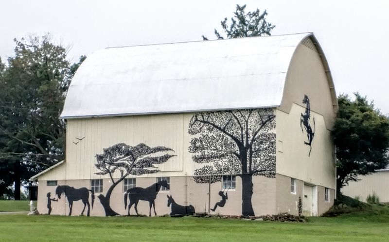 Dalton’s Straight Shot Through Open Country