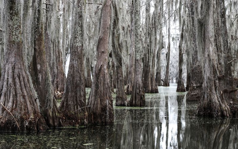 Manchac’s Living Theater