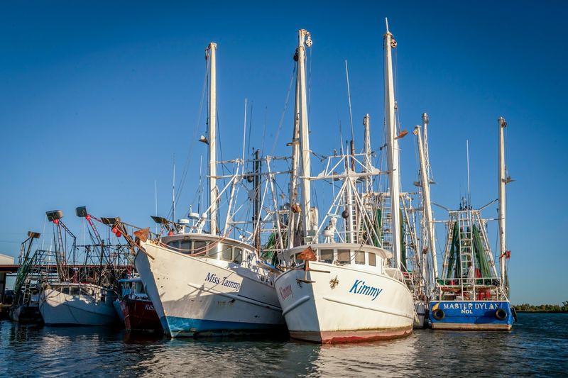 A Buffet That Feels Local, Not Tourist-Made