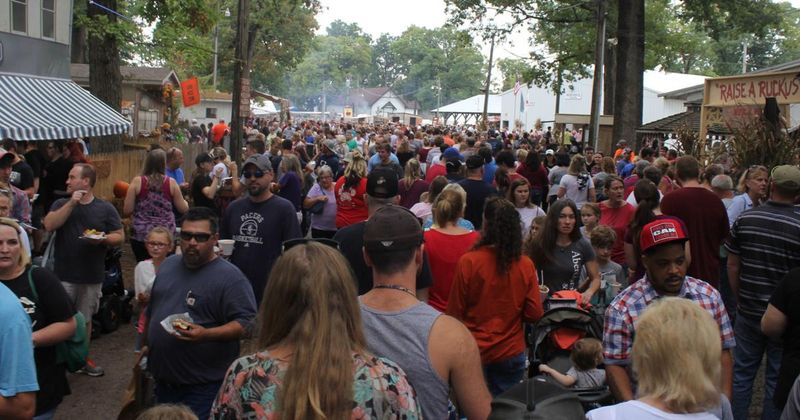 The Annual Apple Festival