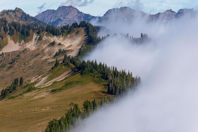 Fog Filled Roads Leading Toward the Olympic Mountains