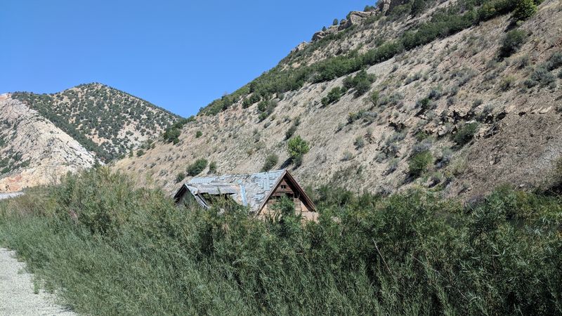 The Local Silence: Why the Story Hurts Too Much to Tell