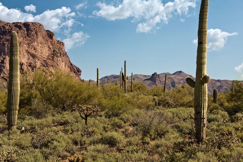 The Real Treasure: The Mystery Itself