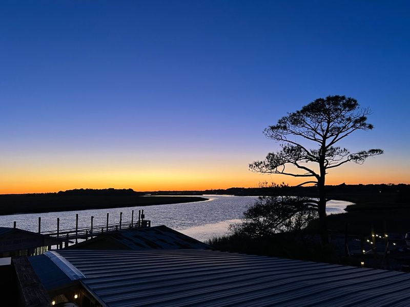 Lowcountry By Nature