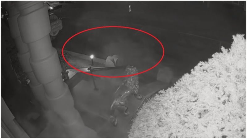 The Late-Night Apparition Capture