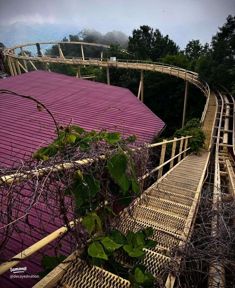 A Tale of Transition