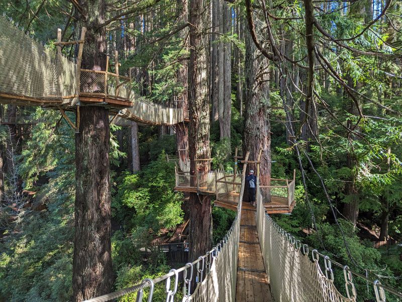 Easy Access on US 101 and Helpful Hours