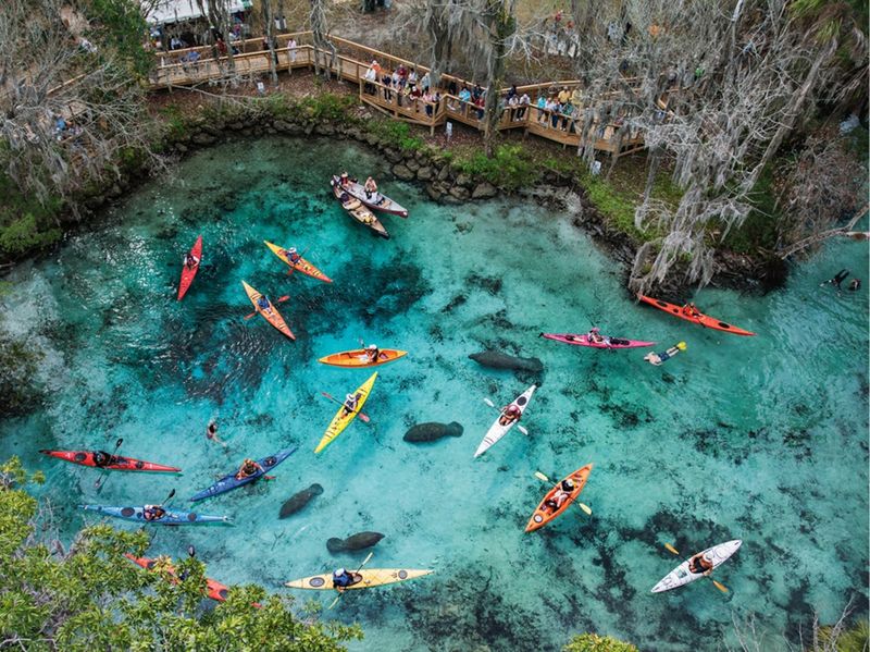Three Sisters Springs (Crystal River)