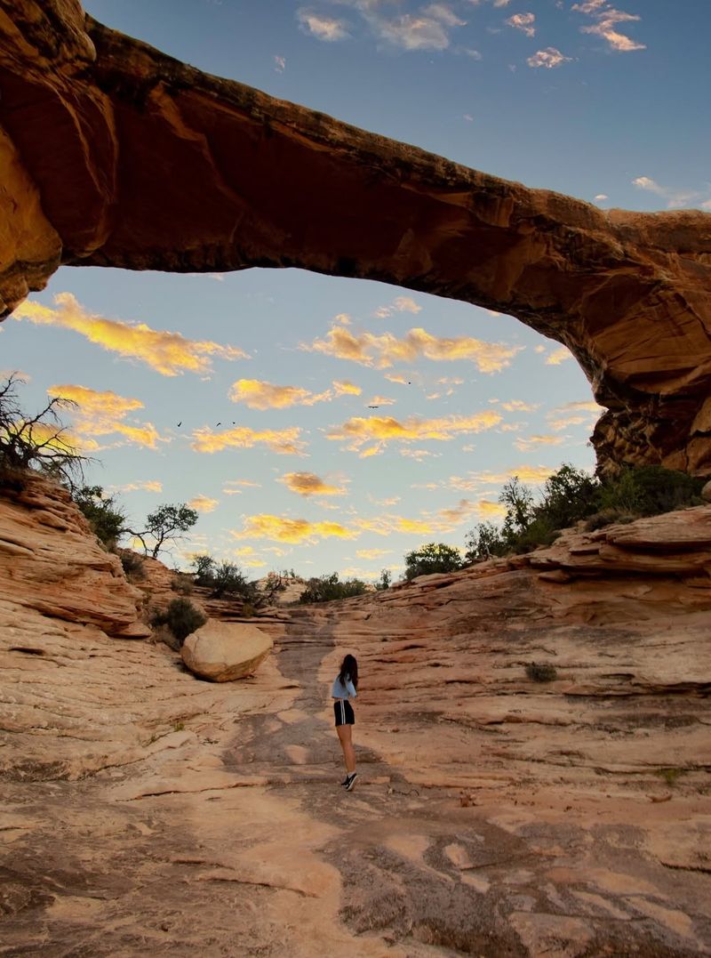 Natural Bridges National Monument