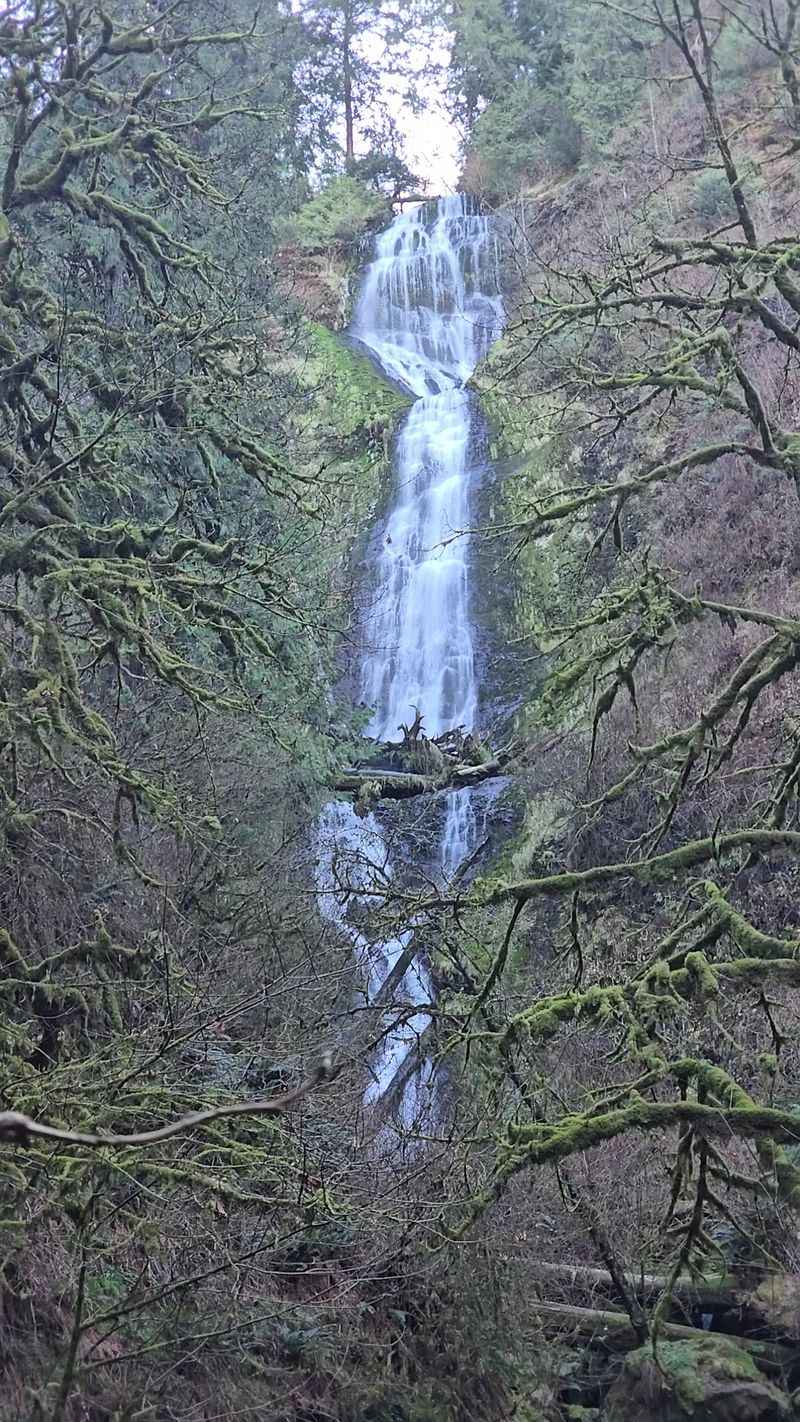 Munson Creek Falls State Natural Site