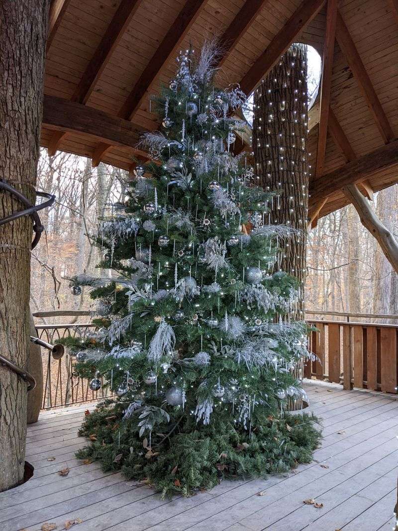 Lookout Loft Treehouse