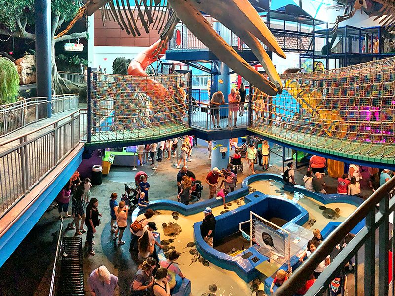 A Journey That Bonds Generations