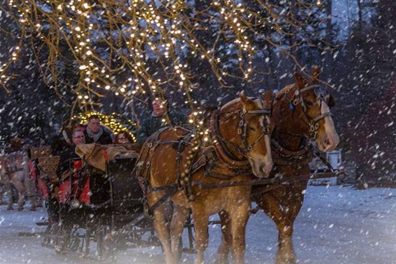 Sleigh Rides and Carriage Rides