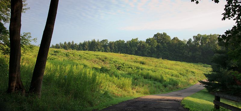 Amish Backroads Experience – The Inn at Honey Run