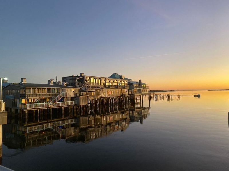 Hidden Net Grill – Cedar Key