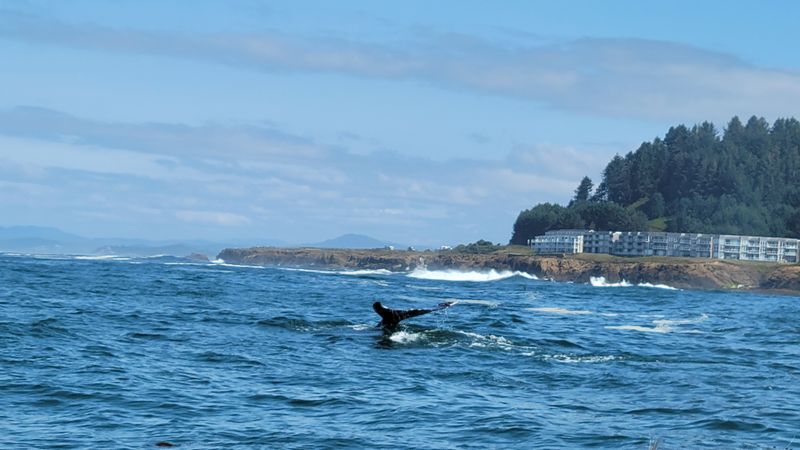 Depoe Bay: The Whale Watching Capital