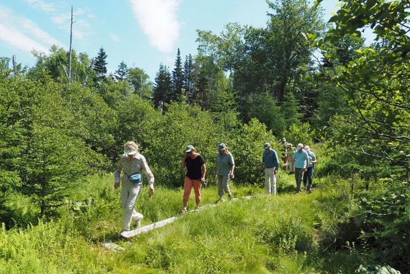 Nature trails with a clean energy backdrop