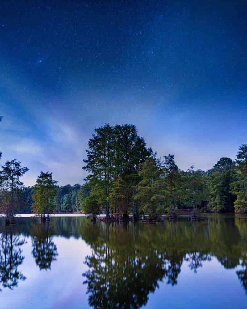 Laurel: A Town That Makes Stillness Feel Right