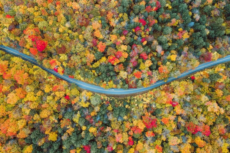 Limited Public Transportation: The Car Conundrum