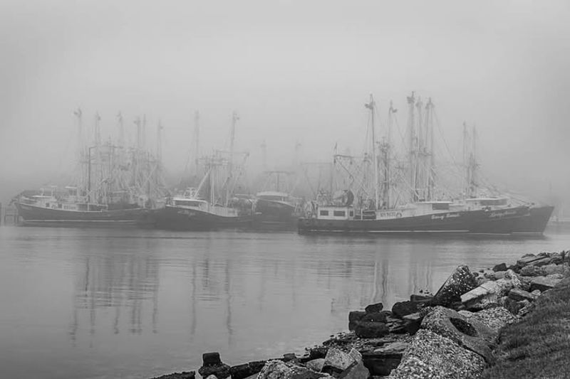 The Fog, the Wind, the Sound of Nothing