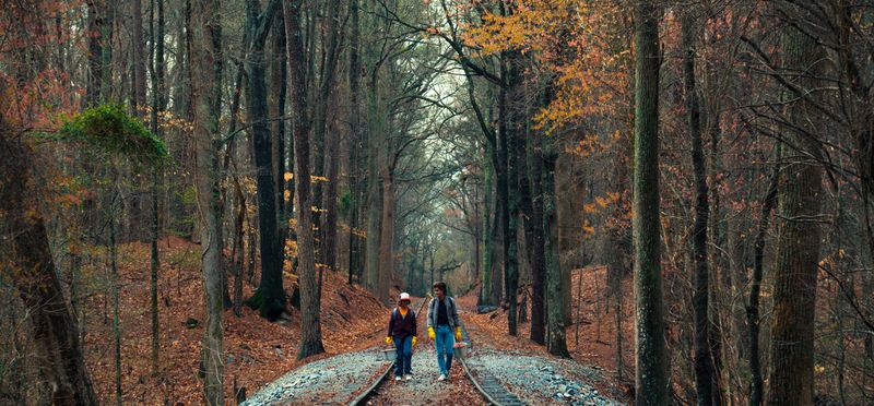Stone Mountain Park – Wooded Scenes
