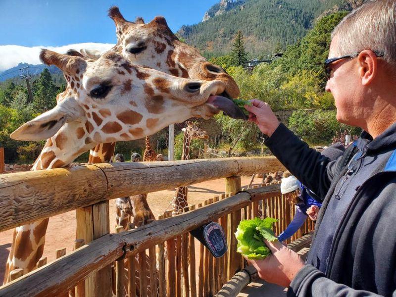 Meeting the Tallest Friends