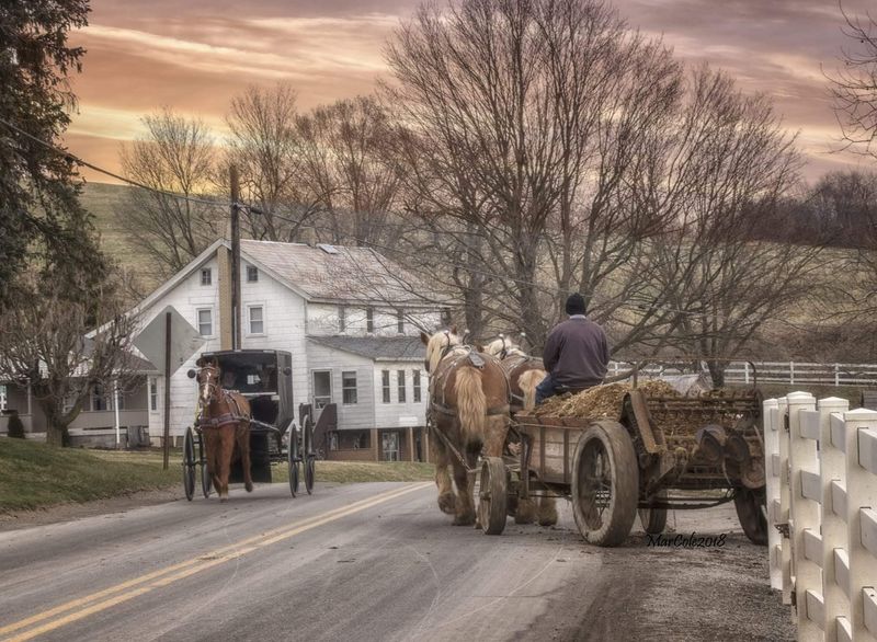 Charm and Its Backroads