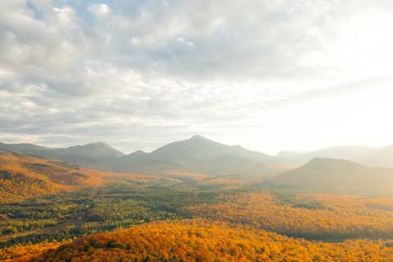 Dramatic Seasonal Changes (Fall Foliage)