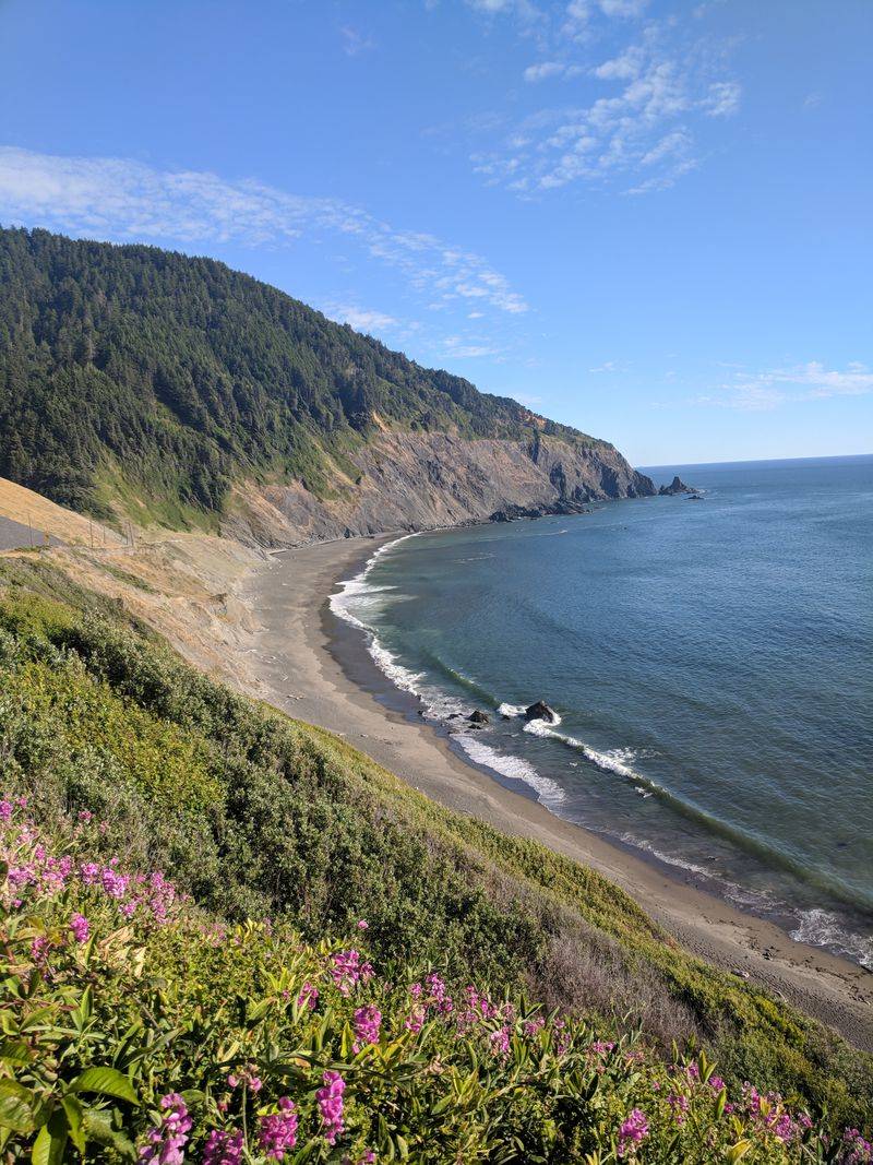 The Backroads Vibe of US 101