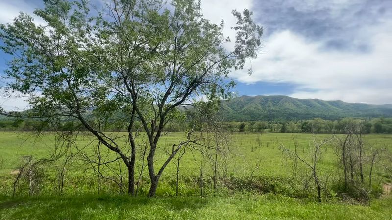 Sunrise and Sunset Moments That Feel Almost Still