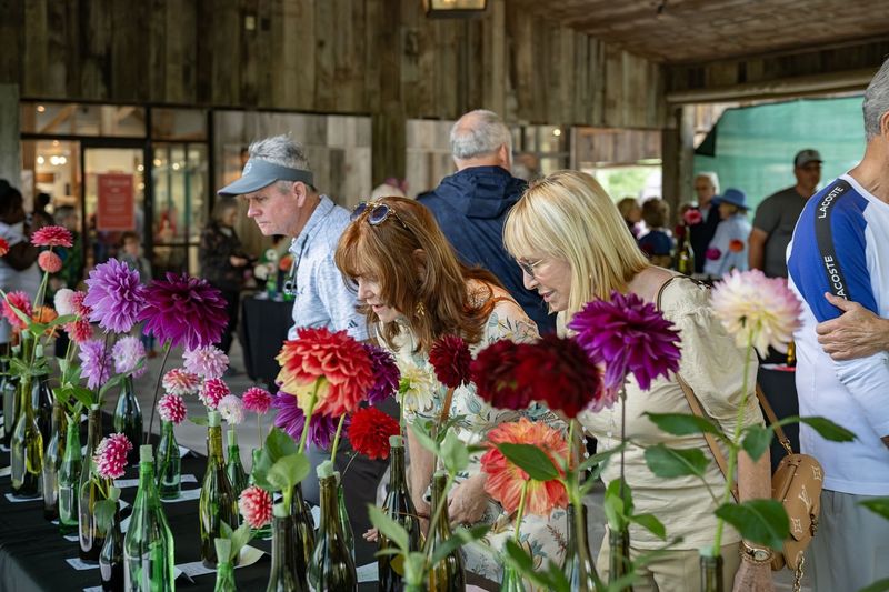 Community-Focused Seasonal Events