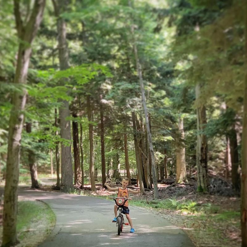 Ludington School Forest and Cartier Park Pathway