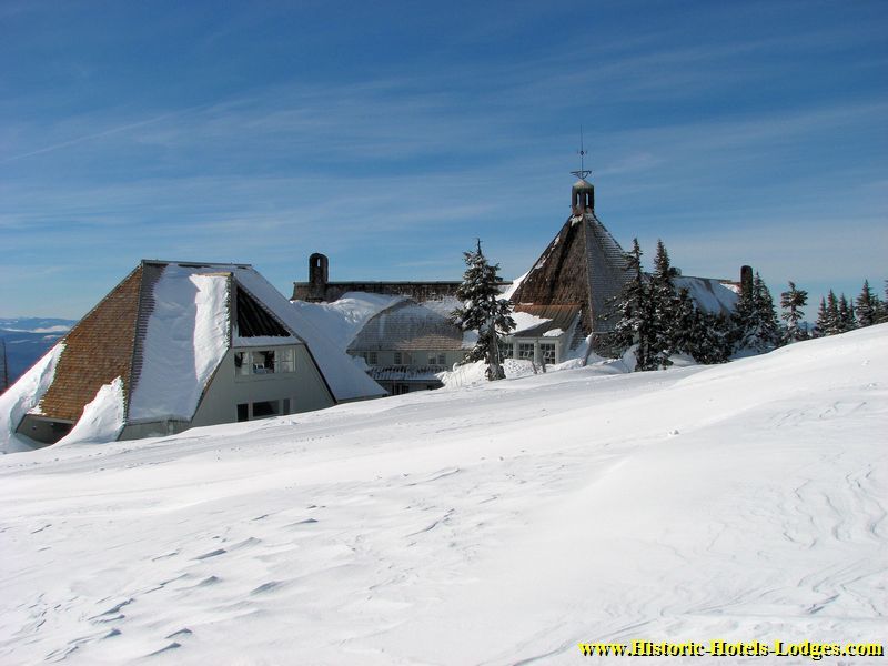 Massive Sloping Roof Design Meets the Forest