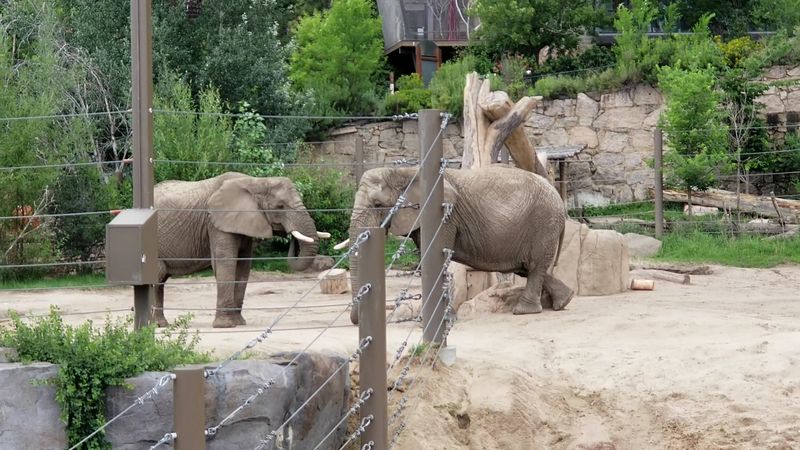 Lessons in Conservation